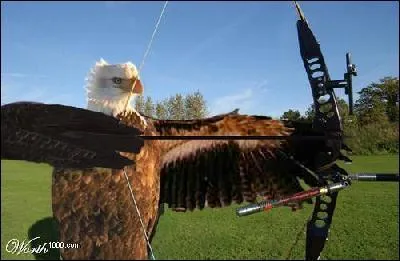 Quelle est cette discipline olympique ?