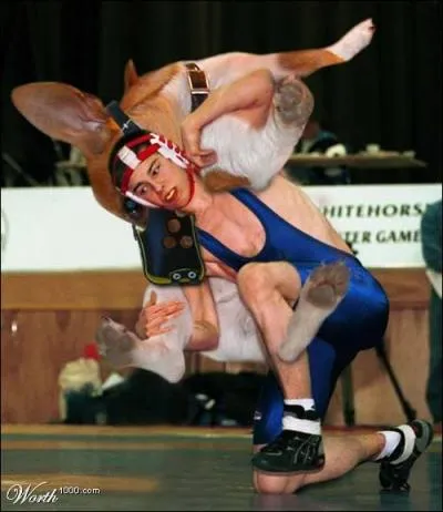 Quelle est cette discipline olympique ?