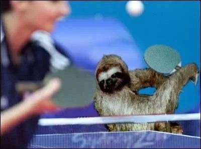 Quelle est cette discipline olympique ?