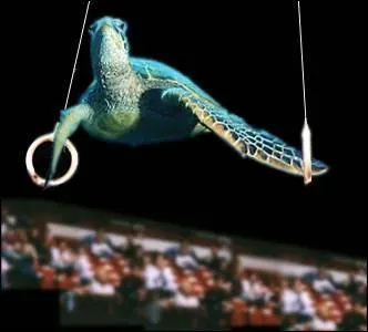 Quelle est cette discipline olympique (Gymnastique) ?