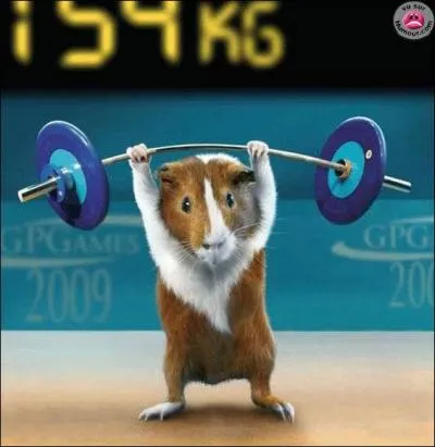 Quelle est cette discipline olympique ?