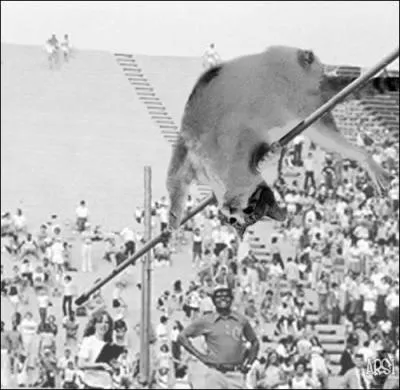 Quelle est cette discipline olympique (Athltisme) ?