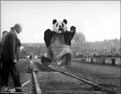 Quelle est cette discipline olympique (Athltisme) ?