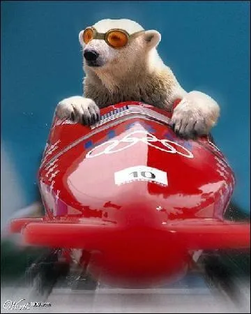 Quelle est cette discipline olympique ( Jeux d'Hiver) ?