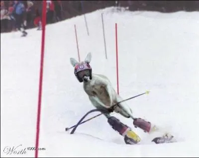 Quelle est cette discipline olympique ( Jeux d'Hiver et Ski) ?