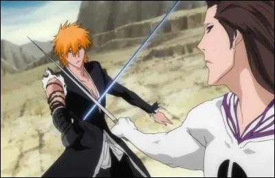 Un combat d'épée génial ! Quel est ce combat dans "Bleach" ?