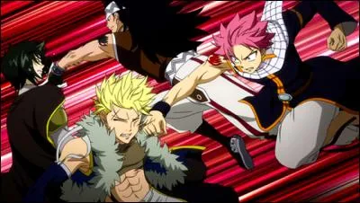 Un combat de chasseurs de dragon ! Quel est ce combat dans "Fairy Tail" ?