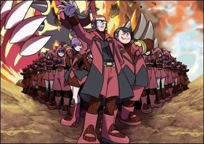 Quel est le but de la Team Magma ?