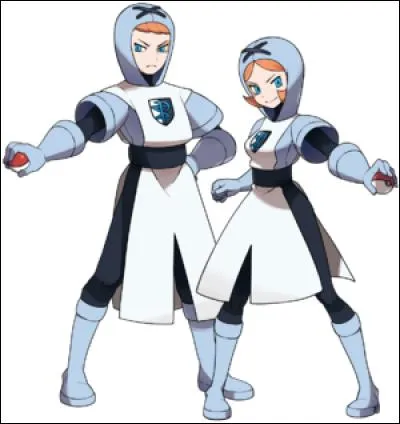 Quel est le but de la Team Plasma ?