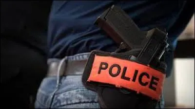 En France, quel a été le budget voté en 2015 ? (Ce budget est encore valable jusqu'en 2017. Après cette date, il augmentera ou baissera)