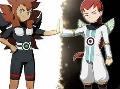 Quelle équipe forment ces deux joueurs ?