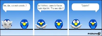 Elle r&ecirc;ve de devenir m&eacute;decin l&eacute;giste. En combien de cycles les &eacute;tudes de m&eacute;decine sont-elles organis&eacute;es ?