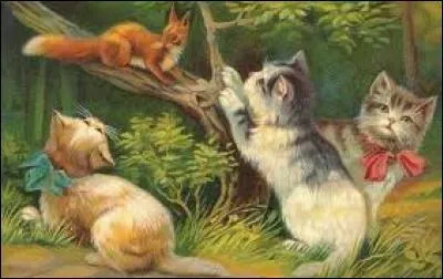 Les trois chats regardent l'écureuil perché sur une branche.