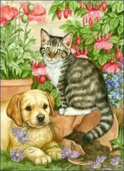 Sur quoi le chat est-il assis ?