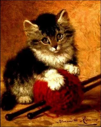 Sur quoi ce chaton pose-t-il les pattes ?