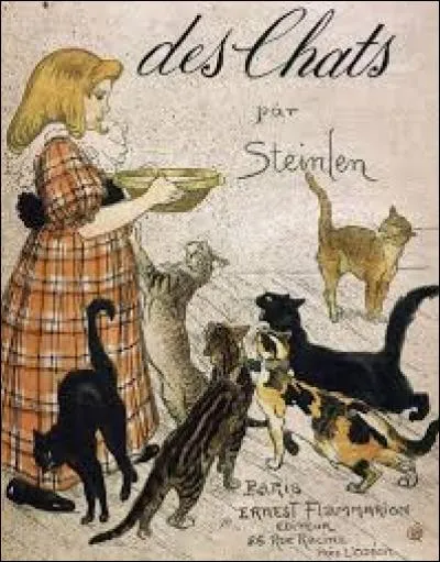 Que fait le chat noir situé à gauche de l'image ?