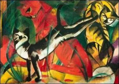 Où se trouve le chat jaune et noir ?