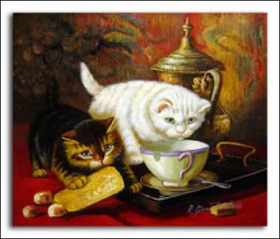 Que fait le chat blanc ?