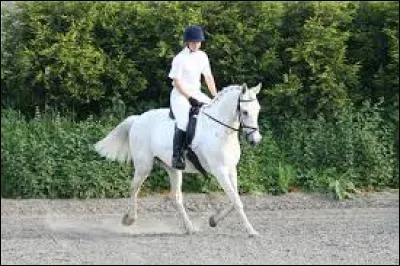 Comment savoir si on est sur le bon pied au trot ?