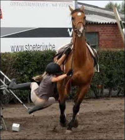 Que faut-il faire lorsqu'on tombe (plusieurs réponses possibles) ?