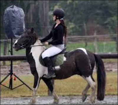 Faut-il monter à cheval lorsqu'il n'y a pas la monitrice (moniteur) ?