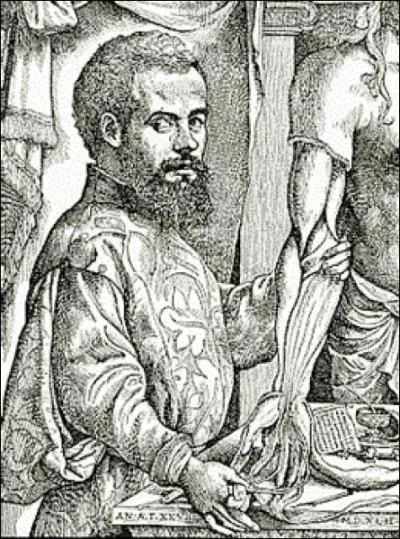 Il est considr comme le pre de l'anatomie moderne. Grce  ses dissections, il a fait avanc la mdecine.