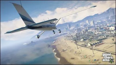 Combien y a-t-il de types d'avion dans "GTA 5" ?
