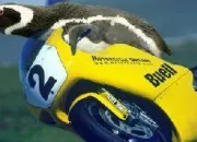 Quiz Les Animaux Omnisport