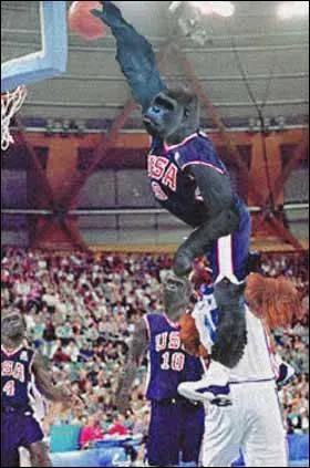 Quel est ce sport trs apprci aux Etats-Unis ?