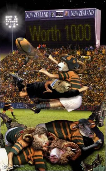 Quel est ce sport trs apprci aux Etats-Unis ?