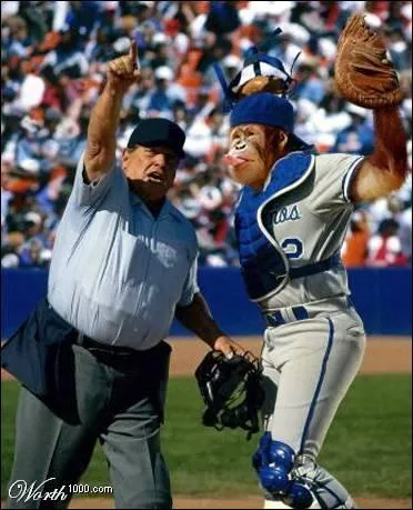 Quel est ce sport trs apprci aux Etats-Unis ?