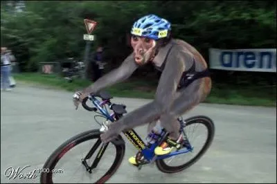 Quel sport pratique ce singe ?