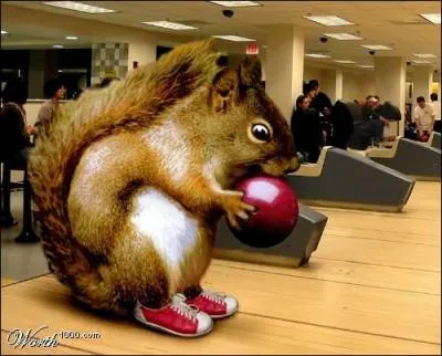 Cette discipline est plus un loisir qu'un sport ?