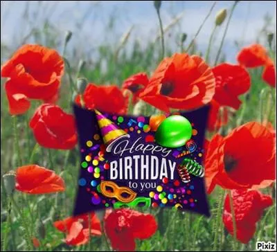 Sinon, je pouvais aussi lui offrir une fleur. C'est joli, les fleurs. Marguerite, coquelicot ou jacinthe ? J'ai décidé de lui fonner celle que vous pouvez voir sur la photo. Laquelle est-ce ? Elle est belle, mais coûterait cher, alors je vais plutôt la vendre que lui donner. Bref, c'est quoi ?