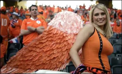 "Orange, Ô désespoir... ! " Quel est ce pays qui ne contient pourtant pas d'orange sur son drapeau ?