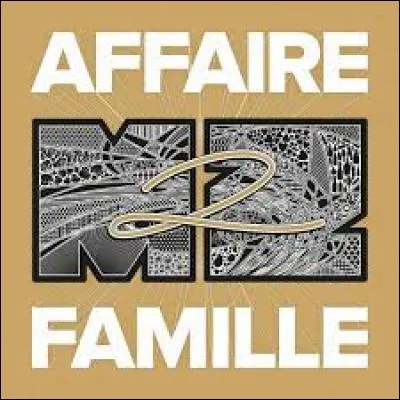 Quel est leur genre de musique ?