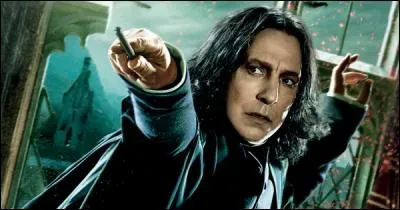 Parfait ! Dorénavant on connait tous les Patronus des élèves de l'école Poudlard. Attaquons-nous aux professeurs. Pour le professeur Rogue, son Patronus ressemble beaucoup à :