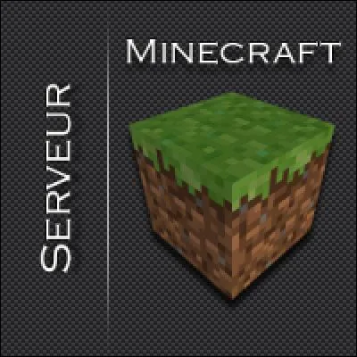 Un de ces deux serveurs n'existe pas. Arriverez-vous à le retrouver ?