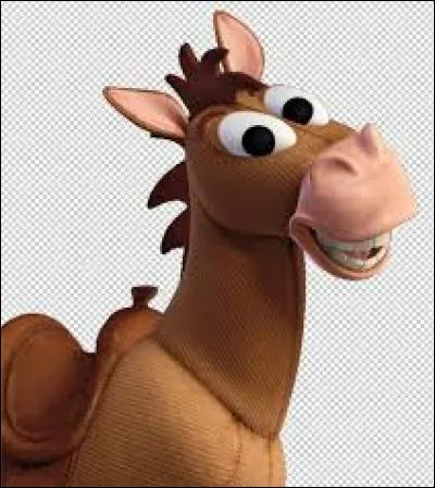 Quel est ce cheval ?