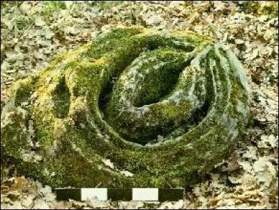 O&ugrave; peut-on voir cette &eacute;trange pierre, dans un bois de Pouligny-Saint-Pierre, qui ressemble &agrave; un sexe f&eacute;minin ?