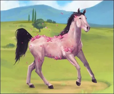 Comment s'appelle ce cheval ?