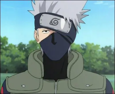 Quel est le poids de Kakashi ?