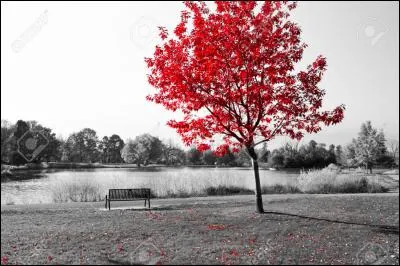 Dans les croyances populaires liées à la météorologie, "les Quatre Temps" sont destinés à indiquer le temps du trimestre à venir, au début de chacune des saisons. Il s'agit de groupes de 3 jours, dont le premier symbolise le premier mois du trimestre, le 2e, le second mois, quant au 3e, il faut surtout en observer le vent, principal indicateur du temps. Quels sont ces jours ?