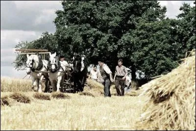 Quel est ce film sorti en 2005 ?