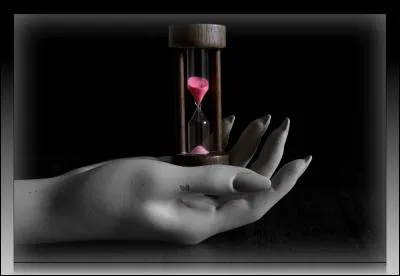 Que dire d'Nwt en regardant la décoration de son quiz ?