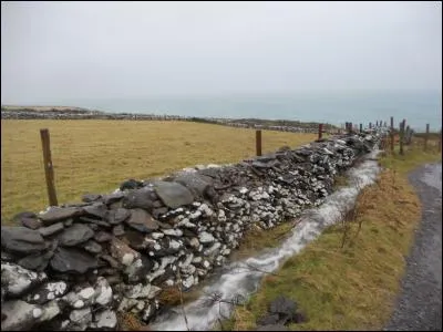 Vous ne pouvez pas traverser la région sans remarquer les murets qui font partie du paysage (comme dans toute l'Irlande). Ils servent, entre autres, à délimiter les terrains et protéger des intempéries. Ils absorbent la chaleur du soleil et servent d'abris à de nombreux insectes. Ces murets sont dits "de pierres sèches", c'est-à-dire :