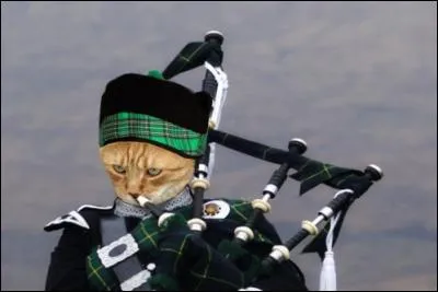 Impossible de parler de l'Irlande sans parler musique. Quelle est la particularité de la cornemuse irlandaise ou "uilleann pipes" ?