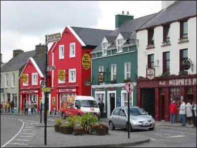 Dingle, qui donne son nom à la péninsule, est un gros village aux maisons colorées comme on voit voit beaucoup dans la région. Si vous êtes chanceux vous pourrez rencontrer Fungie, la célébrité locale. Qui est Fungie ?