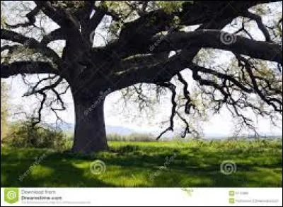 On ne dit plus ''séculaire'' mais...