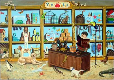 Que regarde le chat blanc au collier bleu ?